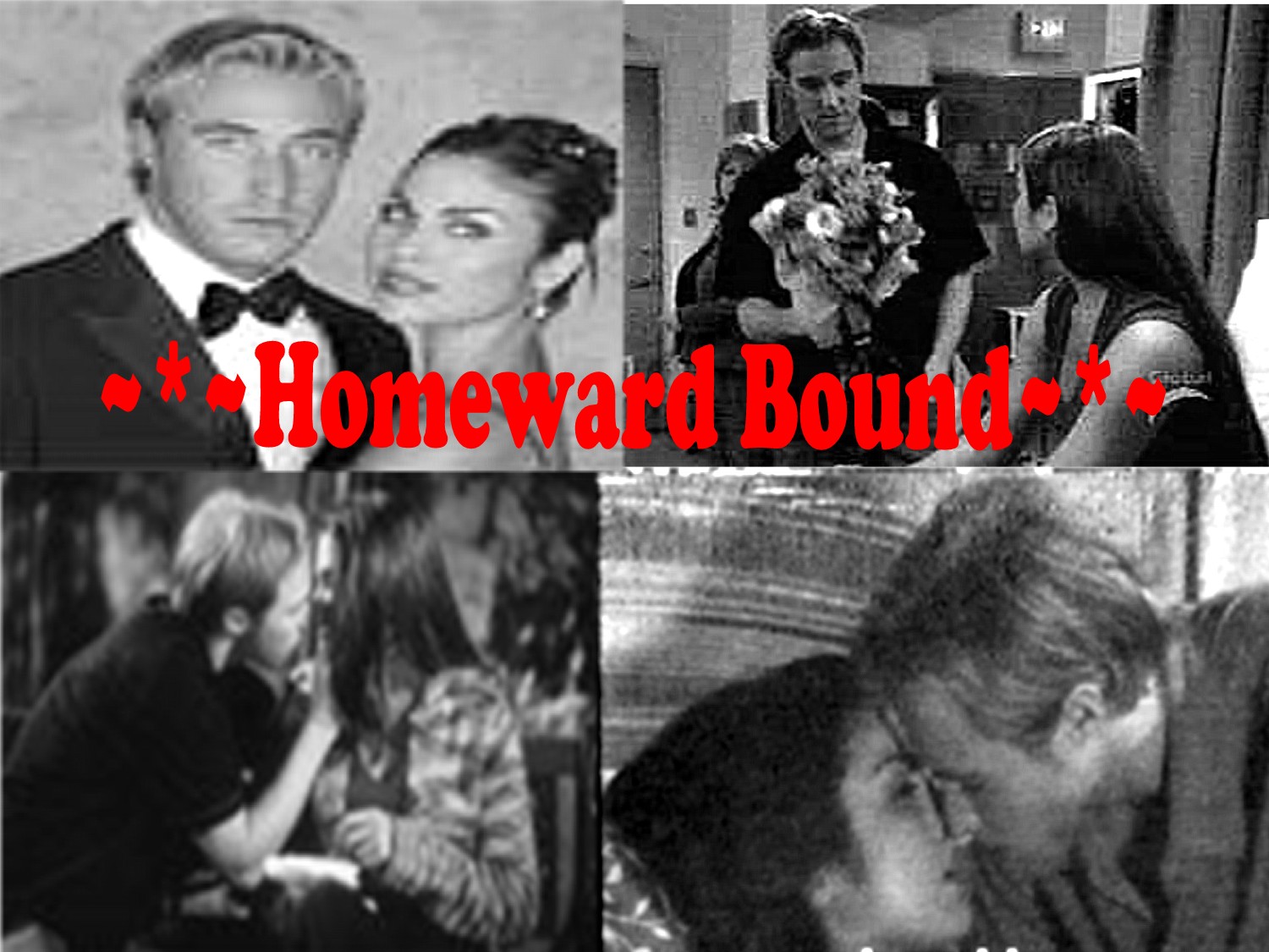 homewardboundbanner.jpg